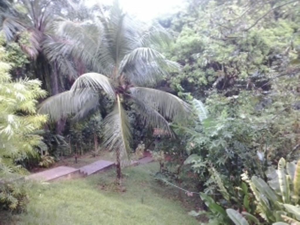 Holiday home Refugio Da Natureza Em Morro De Sao Paulo Morro de Sao Paulo