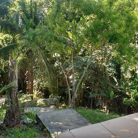 Refugio Da Natureza Em Morro De Sao Paulo Exterior photo
